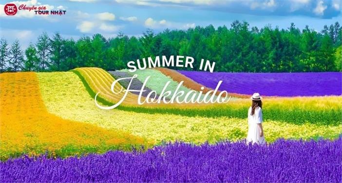 Bản tình ca mùa hè ở Hokkaido - Tour thiết kế đặc biệt